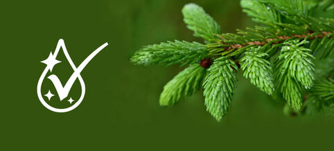 Antibacterial Effect of Spruce Bedding