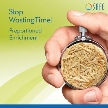 Stop waisting Time