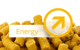 Energy